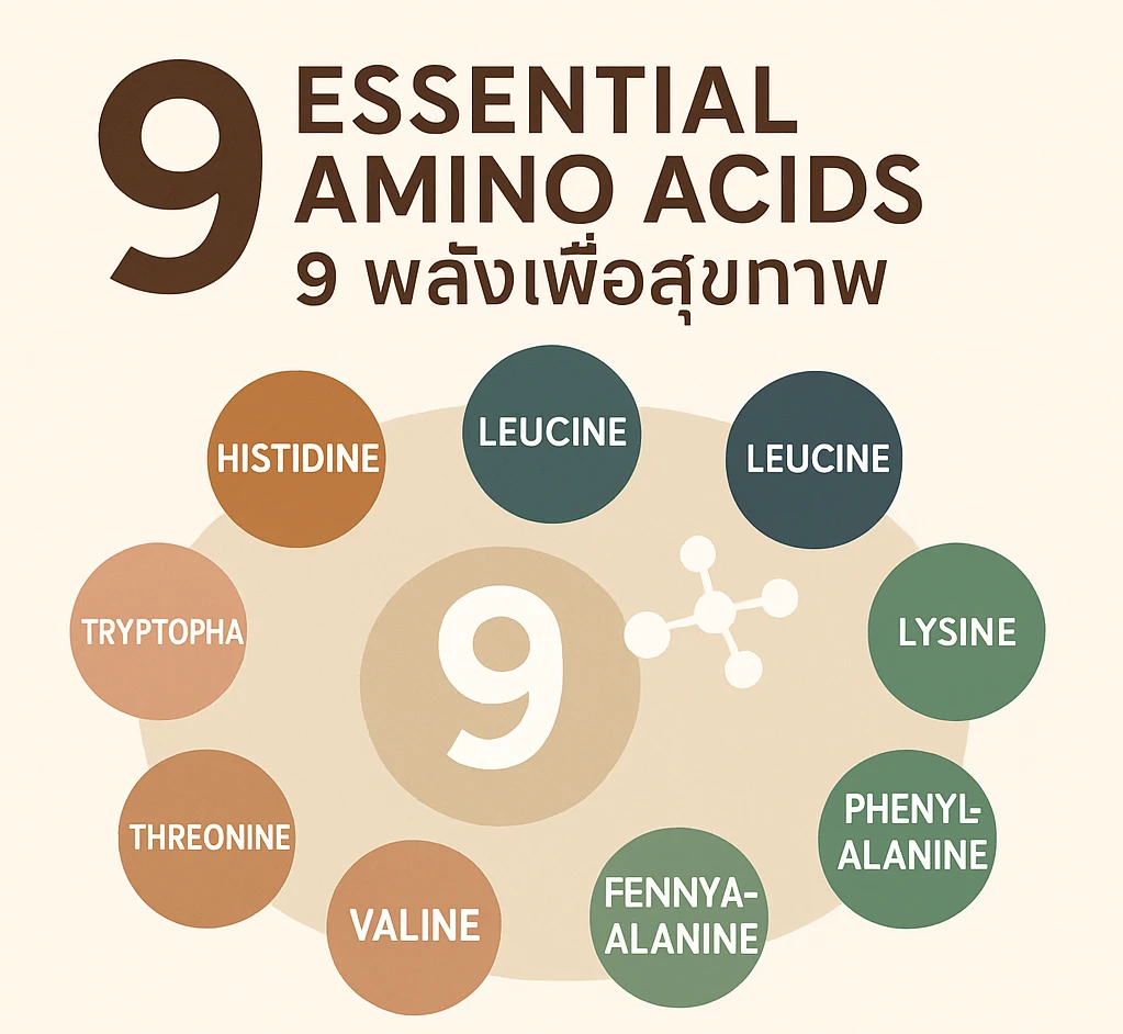 9 amino